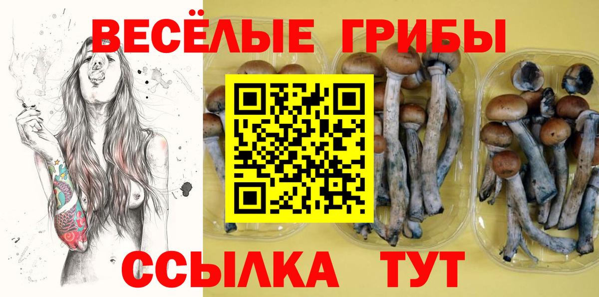 Псилоцибиновые грибы Cubensis Урюпинск