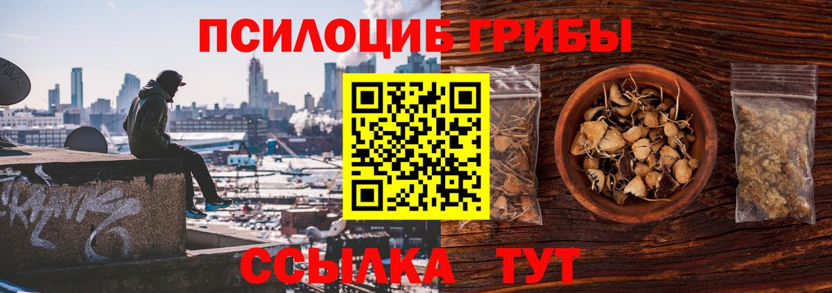 Урюпинск  Галлюциногенные грибы прущие грибы  Вход с VPN 